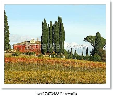 tuscan landscape pictures images fantastic with vineyards in autumnal colors