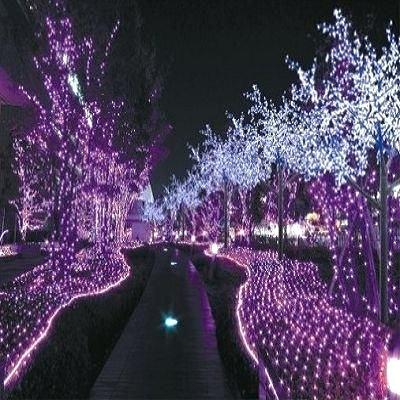 outdoor purple lights wholesale passion