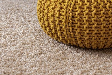Simple tips to help you pick the best pet-friendly carpet for your home