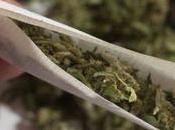 EXTRA: Marijuana Seller Invites Police Arrest Customers Over Fake Naira Notes