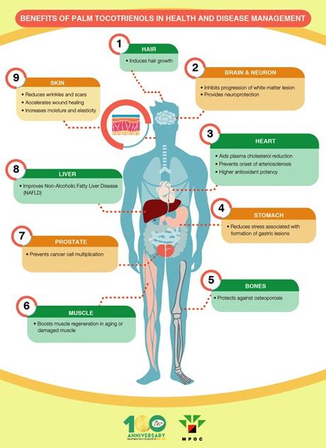 Palm Oil Benefits and its Many uses