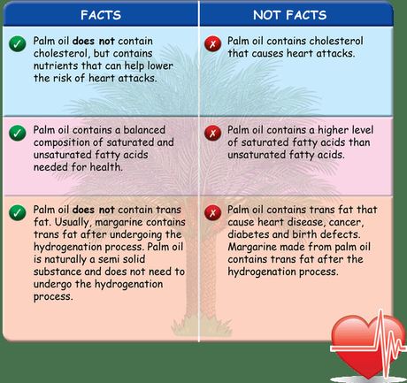 Palm Oil Benefits and its Many uses