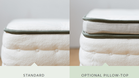 Avocado Green Mattress Reviews – A Nontoxic Natural Mattress Type of avocado mattress