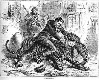 Monday 16th December - J P Inverarity Mauled by a Lioness