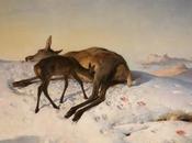 Tuesday 17th December Random Shot