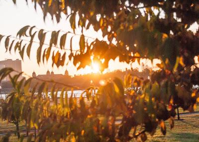 Three views of the same sunrise in Liberty State Park [with shadows]
