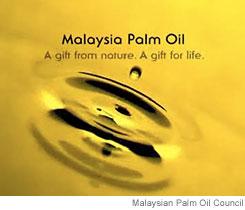 What Is Palm Oil