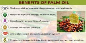 What Is Palm Oil