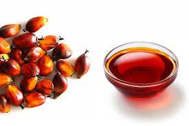 What Is Palm Oil