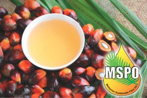 What Is Palm Oil