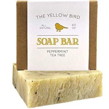 10 Best Tea Tree Oil Soap for Bright Skin