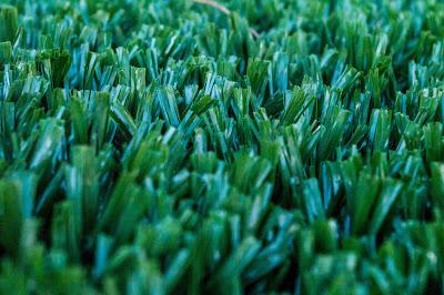 Grass, two real (organic), one plastic