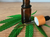 What Look When Buying From Online Websites