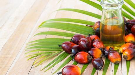 A Detailed Note on Malaysian Palm Oil