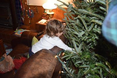 And the Tree Is Done!