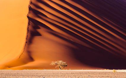 Dune 45, a 170m high dune made from red sand, Sossusvlei, best road trips