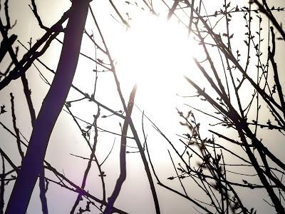 Friday Fotos: The Pressure of Light [The Hallucinated City]