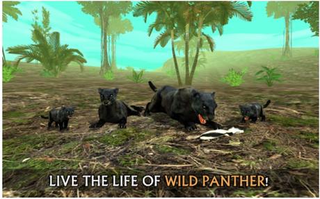 wild panther simulator 3d