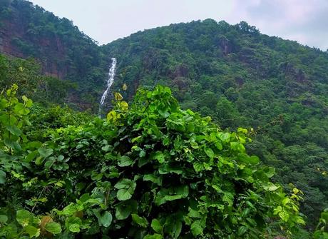 Complete Travel Guide for Kiriburu, Meghataburu, Saranda Forest