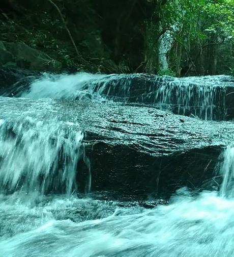 Complete Travel Guide for Kiriburu, Meghataburu, Saranda Forest