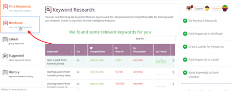 Squirrly SEO Plugin Review 2019: Pros & Cons (9 Stars Why?)