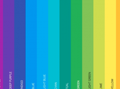 Does Website Color Scheme Influence Digital Marketing?