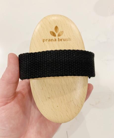 Health for the Holidays: The Ionic Prana Body Brush Makes The Perfect Gift