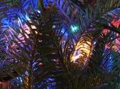 First Christmas Parable