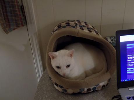 Top ten articles and more!