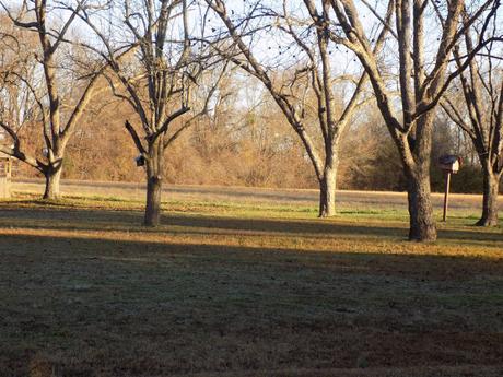 Top ten articles and more!