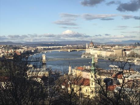 POEM: Danube