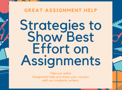 Strategies Show Best Effort Assignments