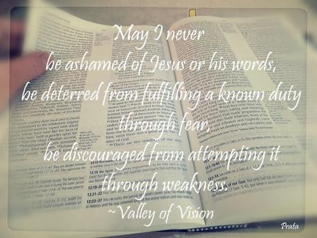 A Bible Reading Plan according to the flow of revelation, and even more choices!