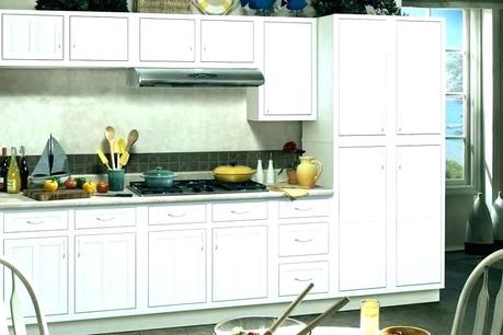 cabinets inset doors cabinet vs overlay enchanting shaker