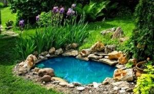 diy pond