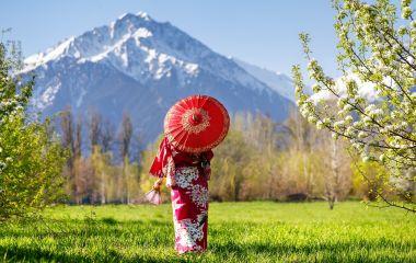Enchanting Travels Japan Tours Woman in kimono with red umbrella in the garden with cherry blossom at mountain background