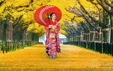 Beautiful girl wearing japanese traditional kimono at row of yellow ginkgo tree in autumn. Autumn park in Tokyo, Japan