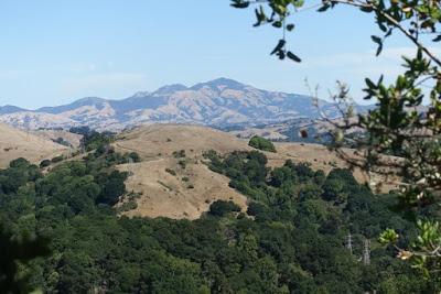 HUCKLEBERRY TRAIL: Shady Hike in the Oakland Hills