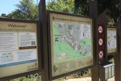 HUCKLEBERRY TRAIL: Shady Hike in the Oakland Hills