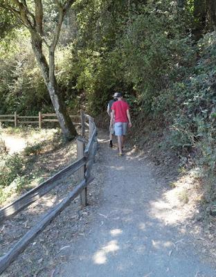 HUCKLEBERRY TRAIL: Shady Hike in the Oakland Hills