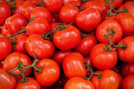 How Cold Is TOO Cold for Tomatoes? pile of tomatoes