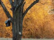 When Every Minute Golden Hour