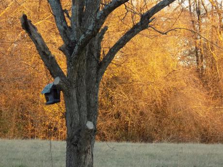 When Every Minute is Golden Hour