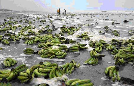 Some interesting occurrences at Sea