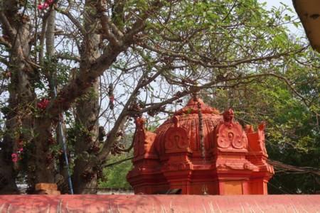 Visit to Pithapuram, Birthplace of Sripada Srivallabha
