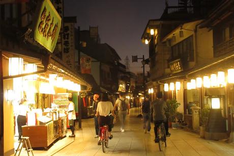 Travel Guide Budget and Itinerary for Tokyo DIY