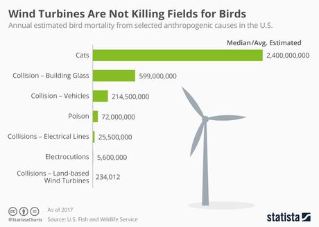 Are Wind Turbines Huge Bird Killers?