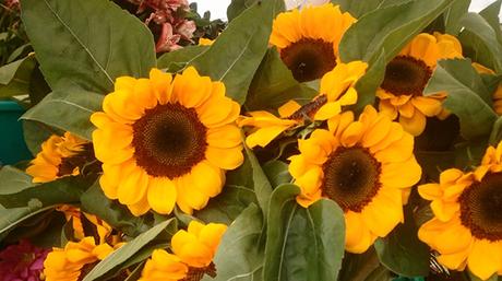 Sun flowers at Camp John Hay