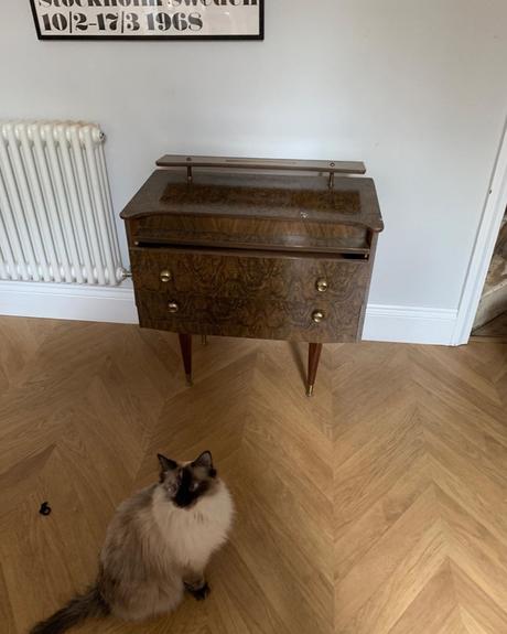cat next to an old vintage dressing table
