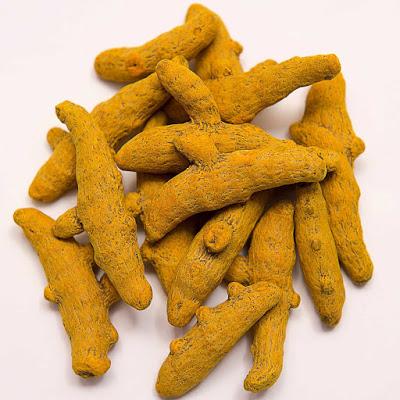 significance of turmeric (Manjal) - Western research